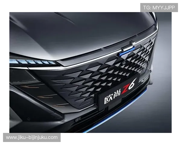 Z6就是博：为什么Z6成为市场上备受关注的热门选择